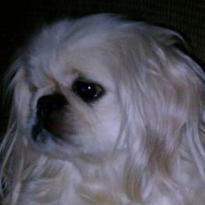 Meet your Posher, Dianna